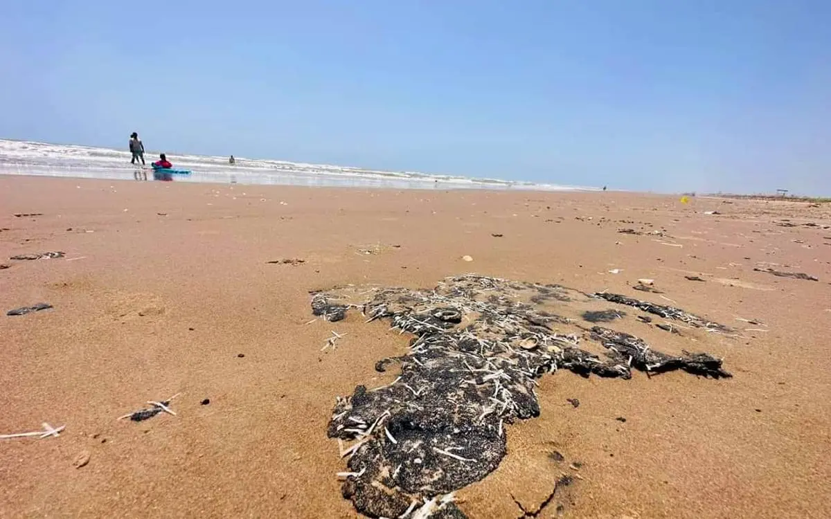 Reportan efectos del derrame petrolero en playas de Tabasco, Tamaulipas y Veracruz