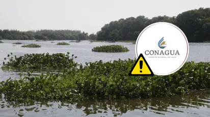 En alerta 4 ríos del sur de Veracruz por posible aumento de nivel ¿de cuáles se trata?